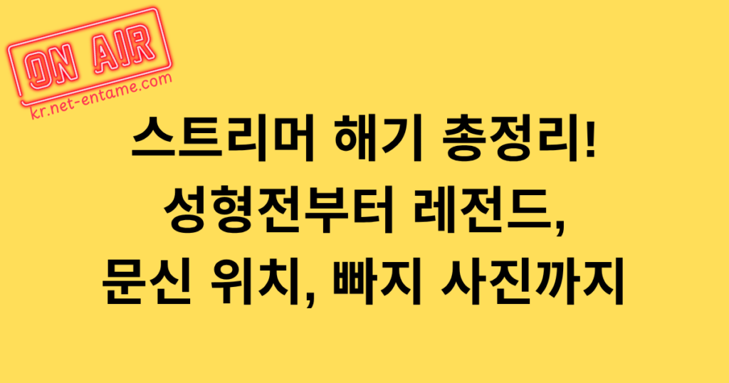 스트리머 해기 총정리! 성형전부터 레전드, 문신 위치, 빠지 사진까지