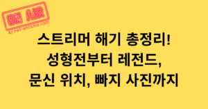 스트리머 해기 총정리! 성형전부터 레전드, 문신 위치, 빠지 사진까지